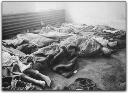 Auschwitz corpses in the main camp